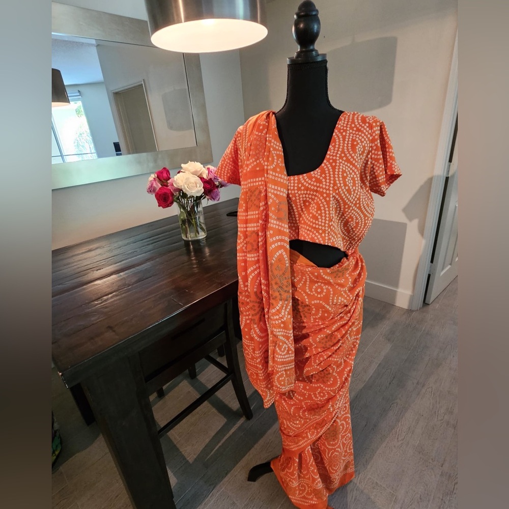 Traditional Indian Saree